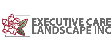 Executive Care Inc