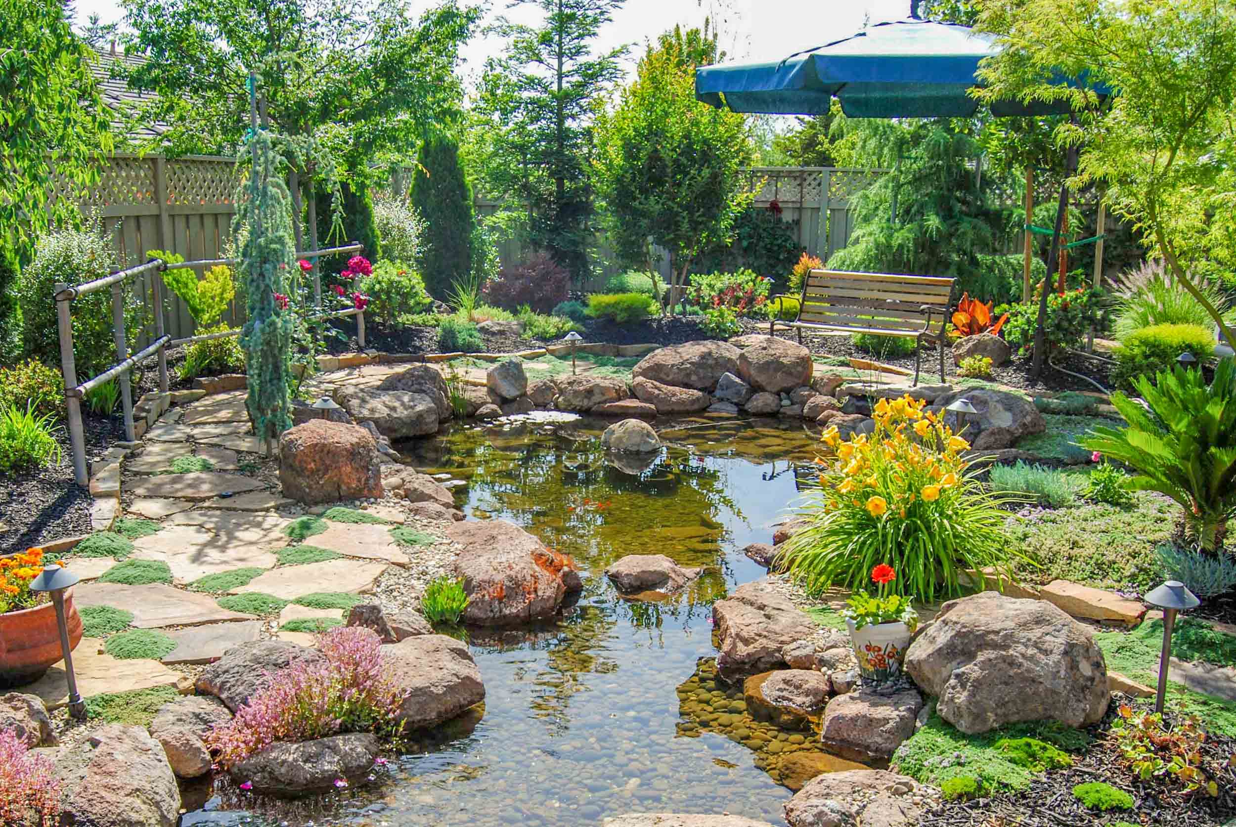 Koi Pond & Waterfall Backyard – Executive Care Inc