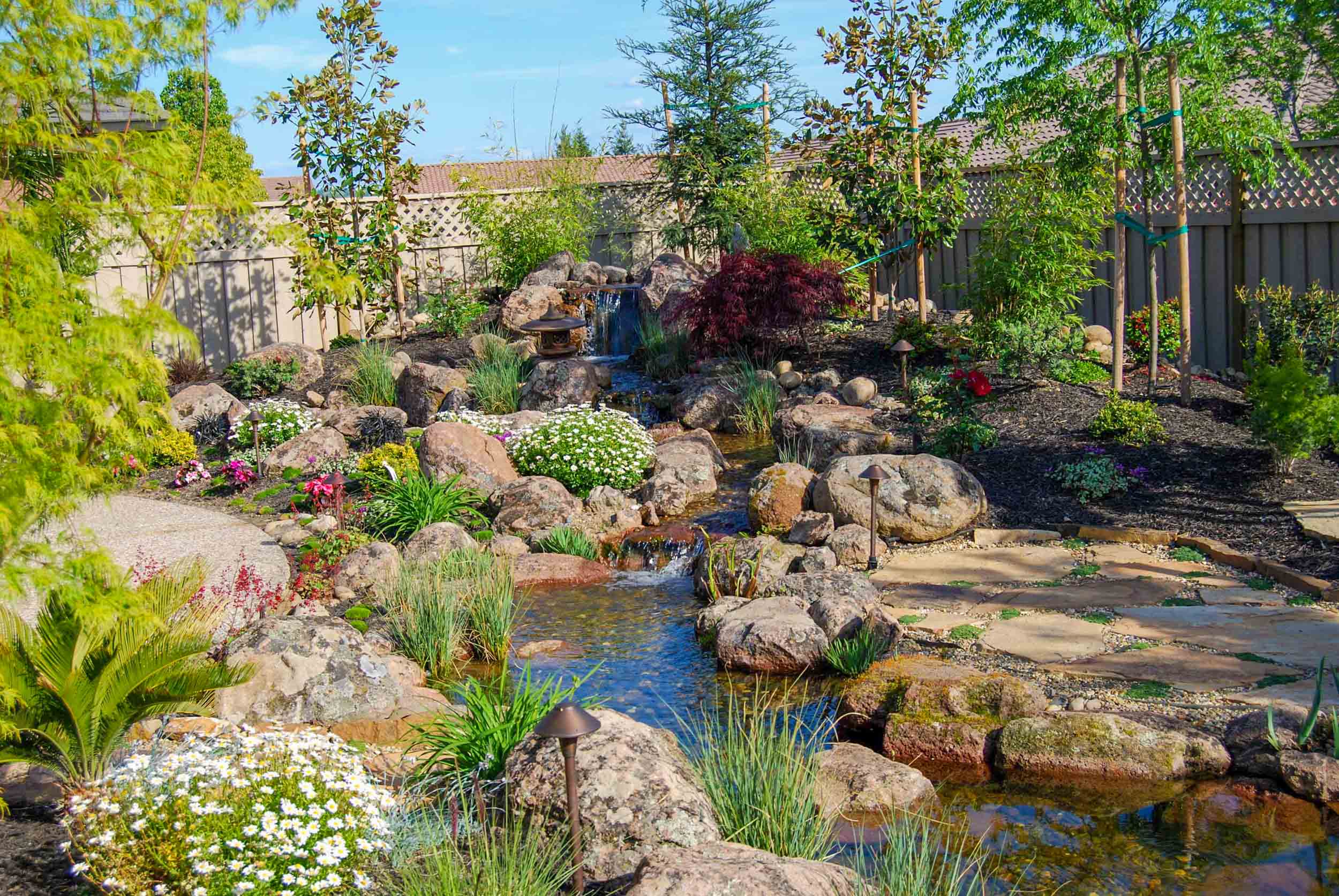 Koi Pond And Waterfall Backyard Executive Care Inc