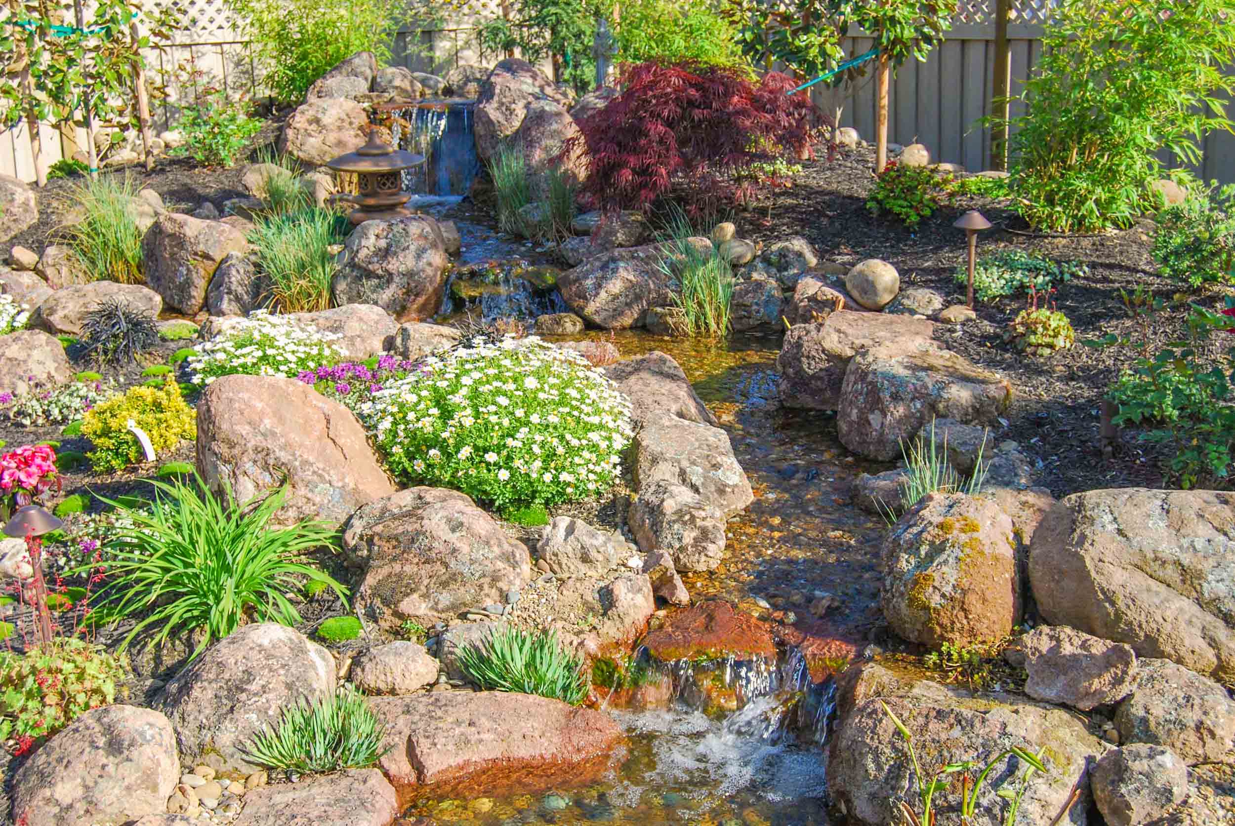 Koi Pond & Waterfall Backyard – Executive Care Inc