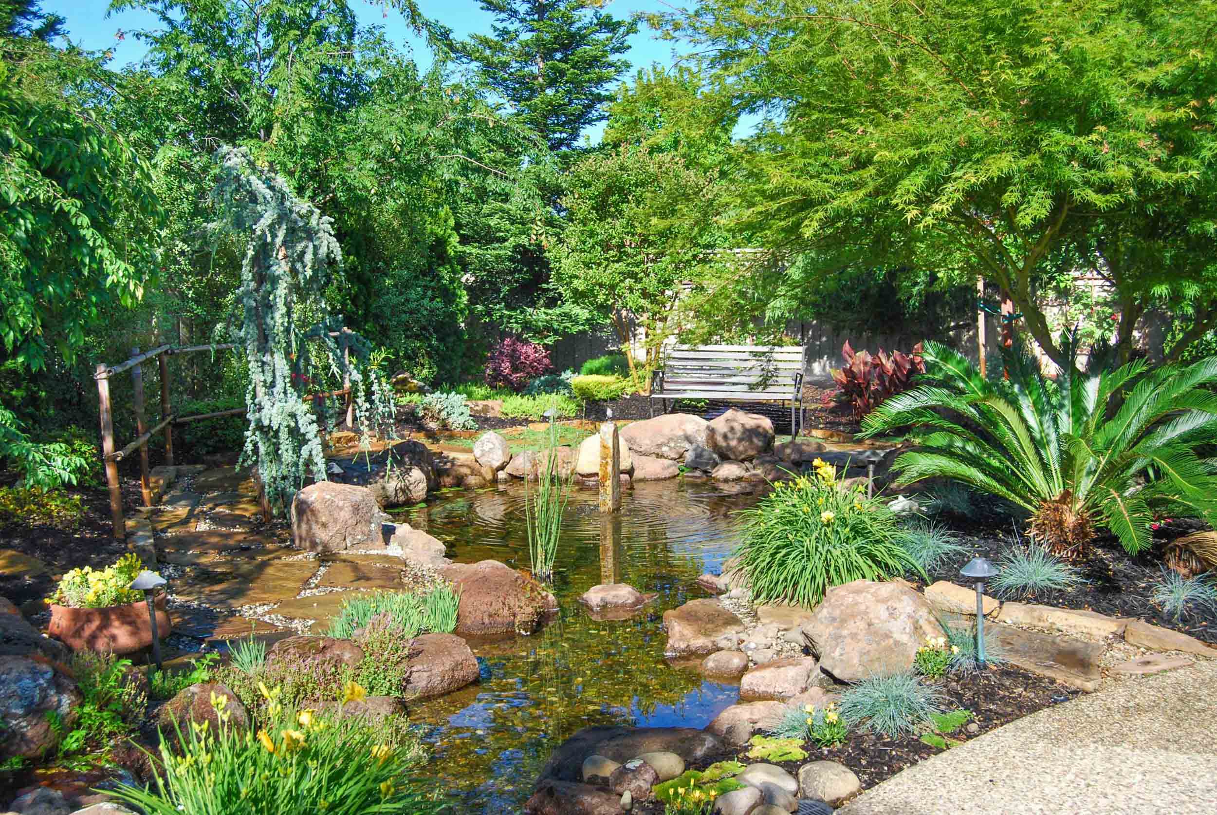 Koi Pond & Waterfall Backyard – Executive Care Inc